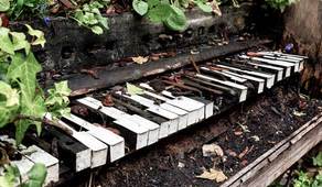Broken piano web